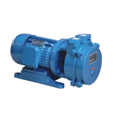 SK type direct coupling water ring vacuum