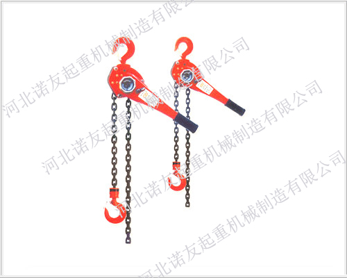 Dongyang hand hoist factory direct import group