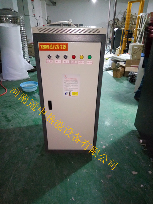 Electric heating steam generator