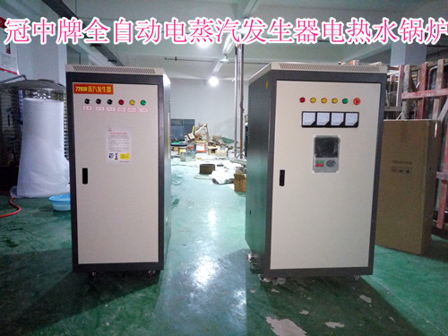 6 kW electric heating steam generator