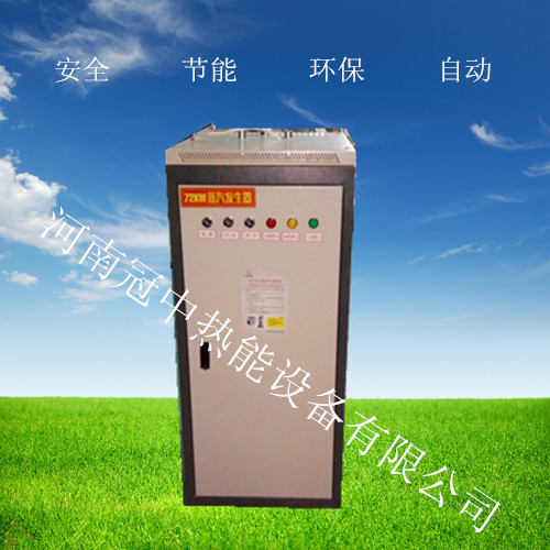 12 KW electric heating steam generator