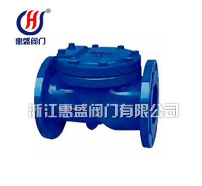 Rubber check valve HC44