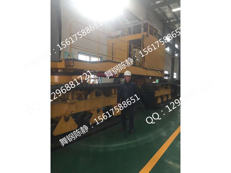 Yangchun supplies WSD690