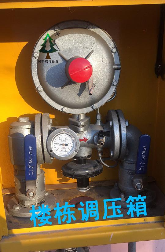 Performance of Deqing RX50/0.4ARF Gas Pressure Regulator