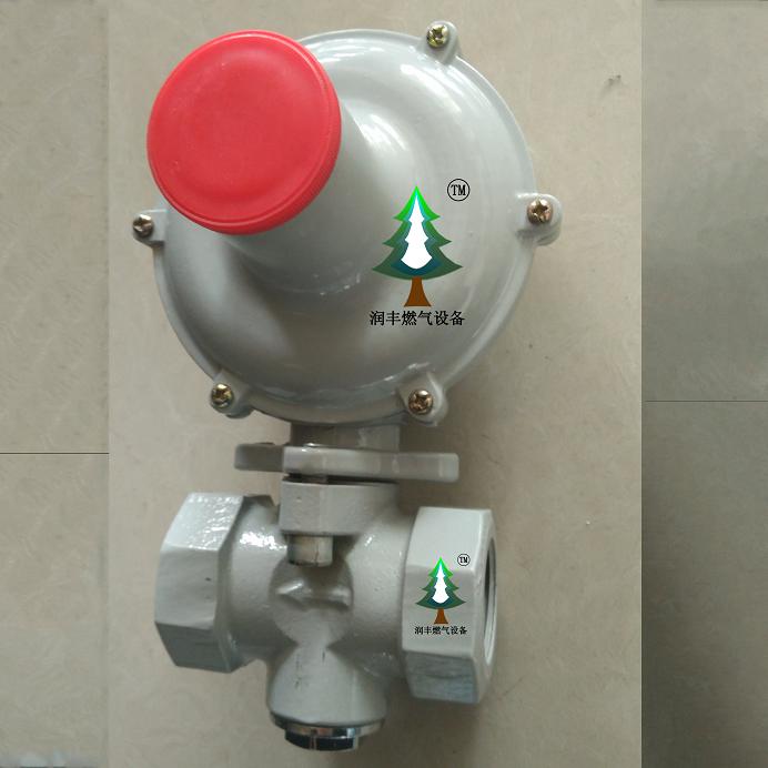 What is the composition of gas regulator RTZ-25 Runfeng equipment?