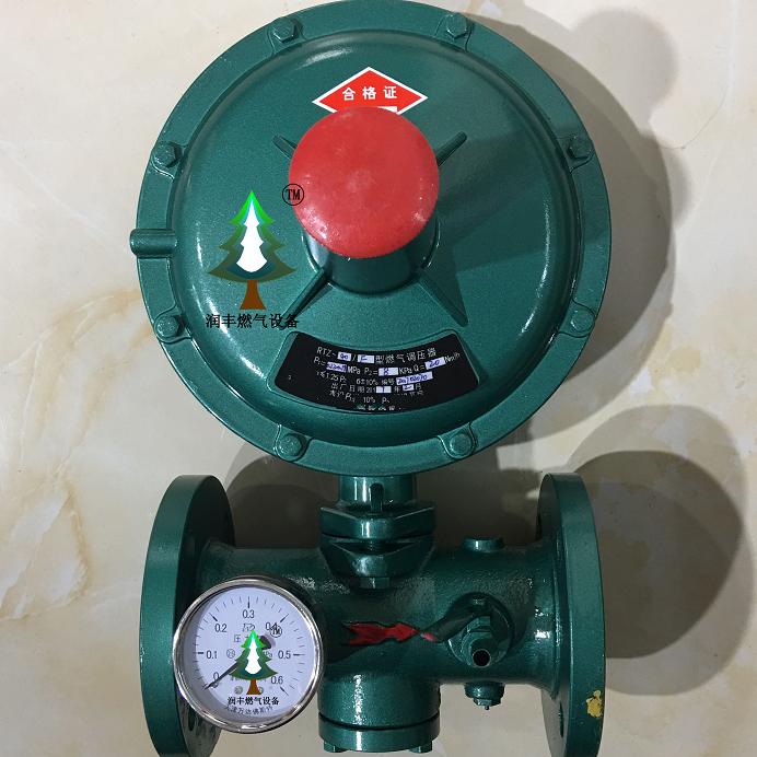 RTZ-25 Interface of Imported Gas Regulator Valve Manufacturer