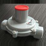 Natural gas bigualu partner valve Runfeng Dachang_Hengshui embellish abundant gas equipment co., LTD_Process-equips