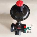 Special run abundant system for gas pressure regulator