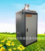 24 KW electric heating steam generator