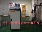 Automatic 48 kilowatt electric steam generator