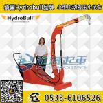 Germany small electric hydraulic small crane, ITI electric hydraulic small crane_LONGHAI_Process-equips