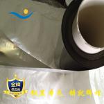 Imported steel strip: 301SH stainless steel strip in Japan - 0.065m_Shenzhen Dosen metal materials Co., Ltd._Process-equips