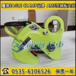 AMS-500 Eagle plate clamp plate clamp, Japan_LONGHAI_Process-equips