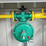 Haikou 50 gas pressure reducing valve