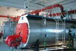 Low nitrogen steam pot_tkboiler_Process-equips