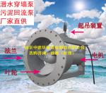 穿墙式污泥回流泵应用范围及价格明细_Nanjing sino-german environmental protection equipment manufacturing co., LTD_Process-equips