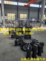 QXB潜水离心曝气机选型基本要素及装配尺寸_Nanjing sino-german environmental protection equipment manufacturing co., LTD_Process-equips